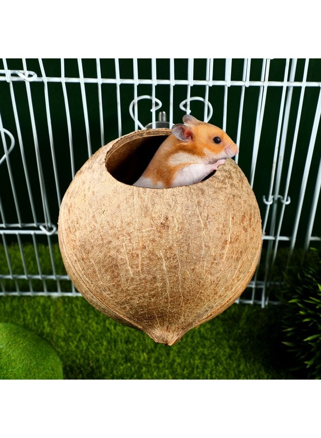 balacoo Coconut Shell Birds Nest- Natural Coconut Shell Bird Nest Keep Warm House Hut Cage for Pet Parrot Budgies Parakeet - Image 1