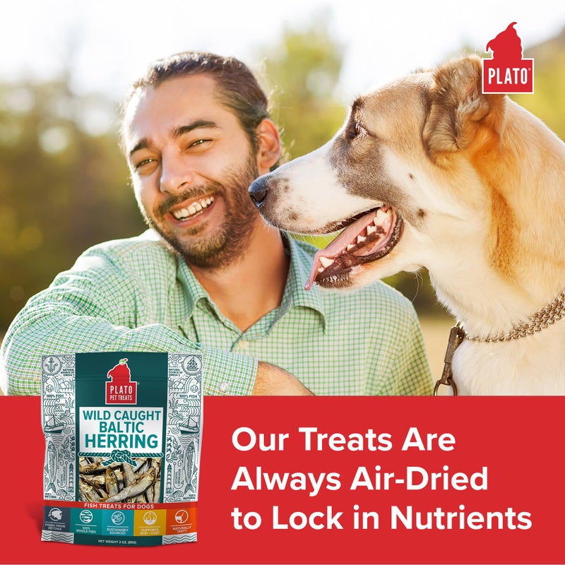 PLATO Pet Treats Fish Dog Treats - Air-Dried, Single Ingredient Dog Treat - with Omega 3 & 6 Fatty Acids to Support Skin and Coat - 100% Whole Fish - Wild Caught Baltic Herring Dog Treats - 8.5 oz - Image 3