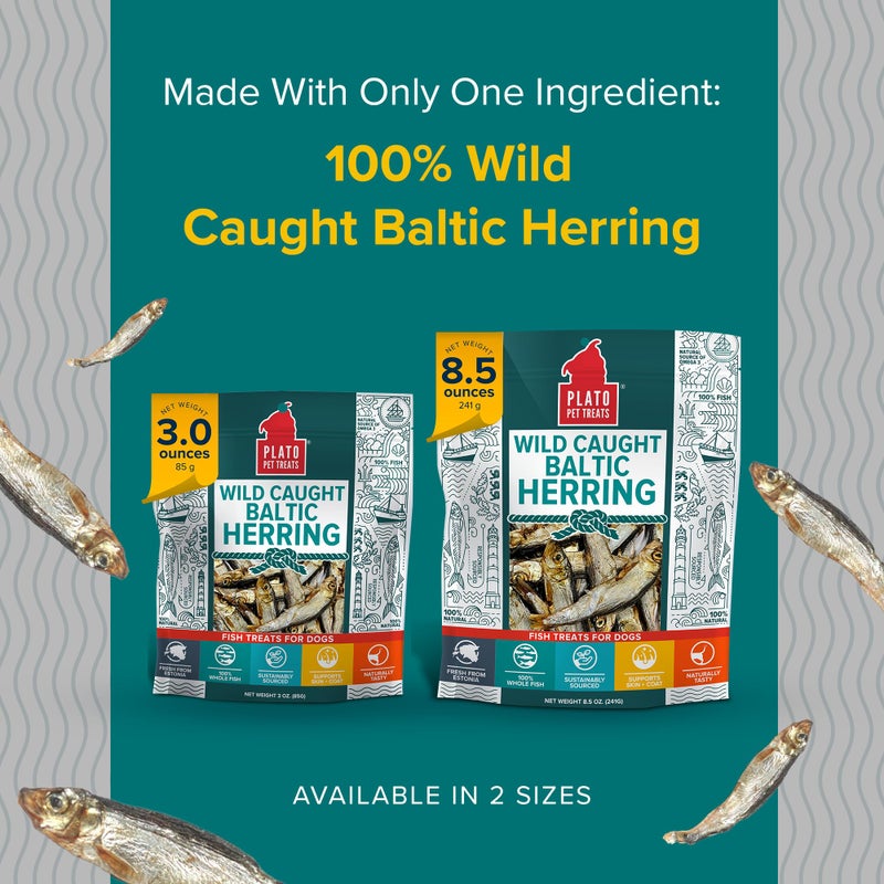 PLATO Pet Treats Fish Dog Treats - Air-Dried, Single Ingredient Dog Treat - with Omega 3 & 6 Fatty Acids to Support Skin and Coat - 100% Whole Fish - Wild Caught Baltic Herring Dog Treats - 8.5 oz - Image 4