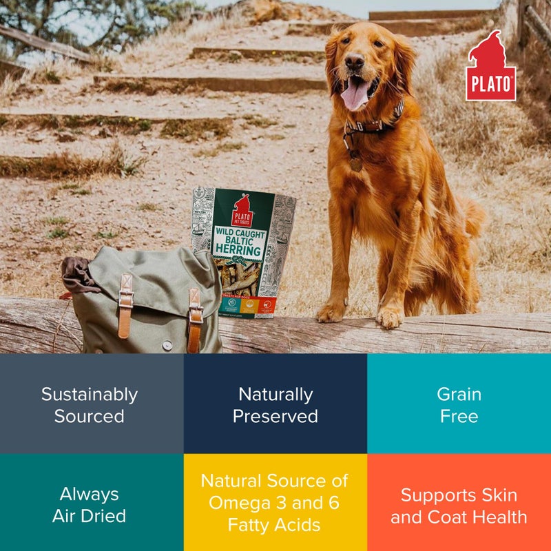 PLATO Pet Treats Fish Dog Treats - Air-Dried, Single Ingredient Dog Treat - with Omega 3 & 6 Fatty Acids to Support Skin and Coat - 100% Whole Fish - Wild Caught Baltic Herring Dog Treats - 8.5 oz - Image 5