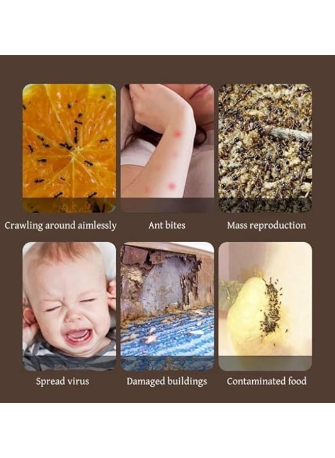 Ant Gel Bait ، Ant Power Gel - جل قوي لقاتل النمل - محلول حقن طبيب النمل 10 جم - Image 3