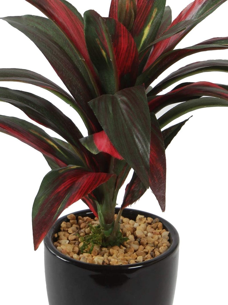 Fourwalls Four Walls Artificial Bonsai Plant With Ceramic Vase (Multicolour, 1 Piece) - Image 2