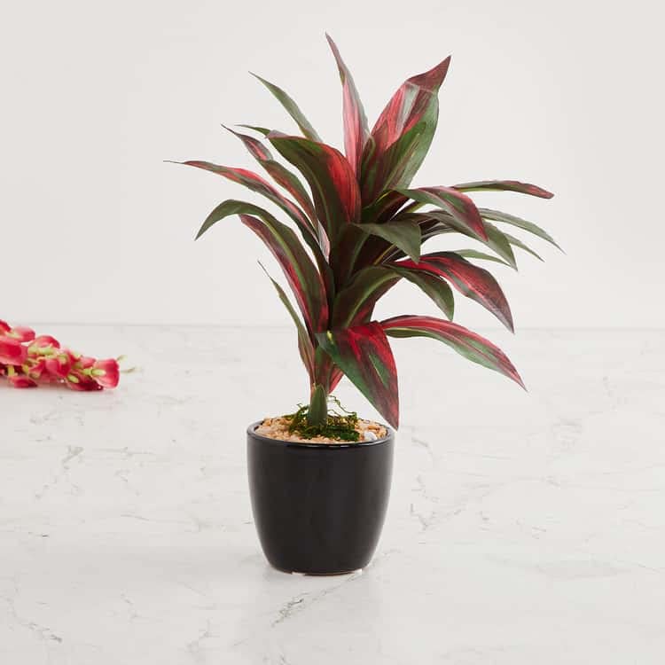 Fourwalls Four Walls Artificial Bonsai Plant With Ceramic Vase (Multicolour, 1 Piece) - Image 5