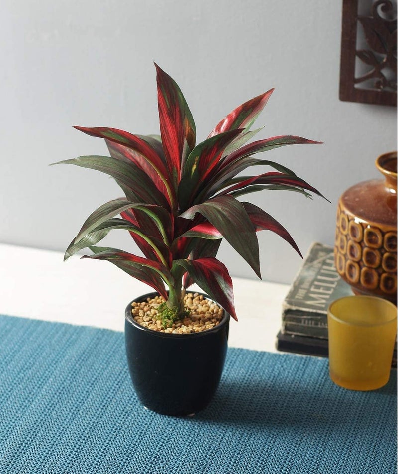 Fourwalls Four Walls Artificial Bonsai Plant With Ceramic Vase (Multicolour, 1 Piece) - Image 3