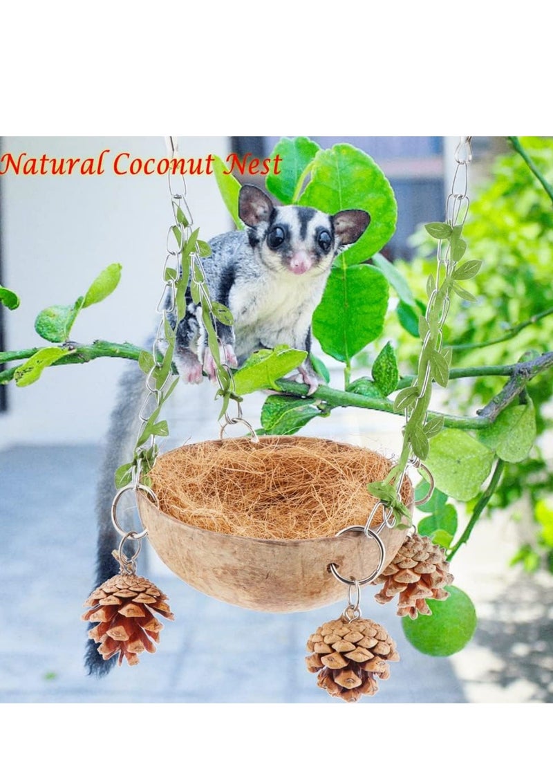 Bird Natural Coconut Nest Sugar Glider Hanging Swing Toy with Coconut Fiber Mat for Small Bird Parrot Parakeet Sugar Glider - pzsku/Z86359D24ED3CBCAADB41Z/45/_/1719481224/5cae58f0-4db9-46f0-a6e6-194b8b330c0c