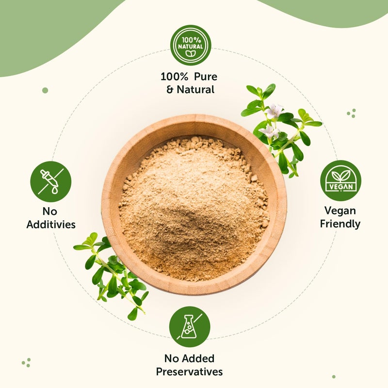 Neuherbs Brahmi Powder - 100gm - Image 3