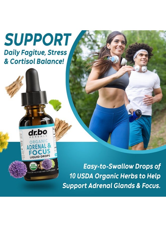 dr.bo Adrenal Support Supplements Liquid Drops - Organic Adrenal and Focus Supplement, Cortisol Manager Adaptogen Adults, Ginkgo Biloba for Kids Calm - Natural Brain and Memory Fatigue Stress Attention 1oz - Image 3