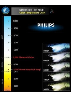 Philips H7 Diamond Vision Full White Light Bulb Set 12972 EAN-8711500696533  - Image 3