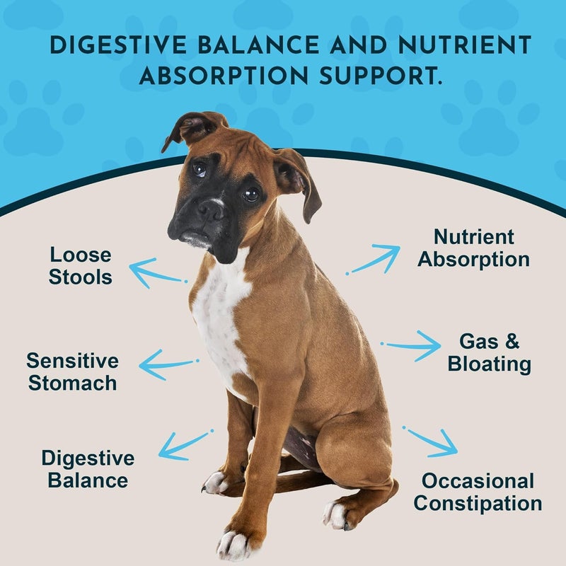 Animal Essentials Plant Enzyme & Probiotics Supplement for Dogs and Cats - 10.6 oz Digestive Support Powder - Image 2