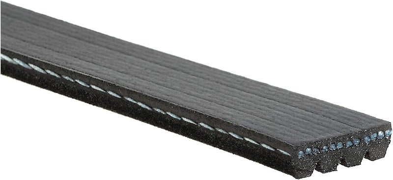 حزام سربنتين Micro-V من K040365