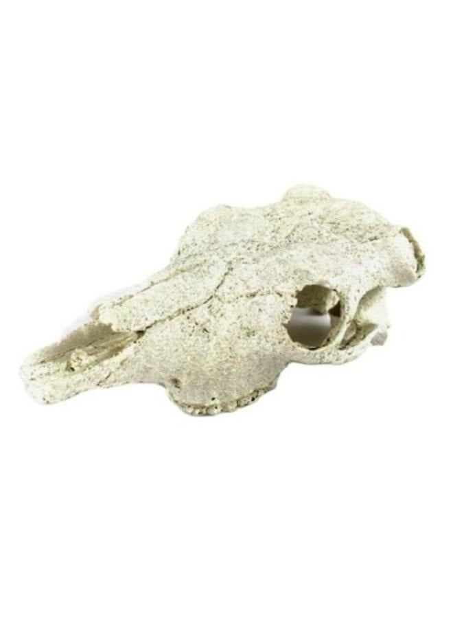 Exotic Reptile Hide Landscape Skull Bone - Image 1