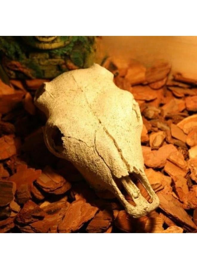 Exotic Reptile Hide Landscape Skull Bone - Image 2