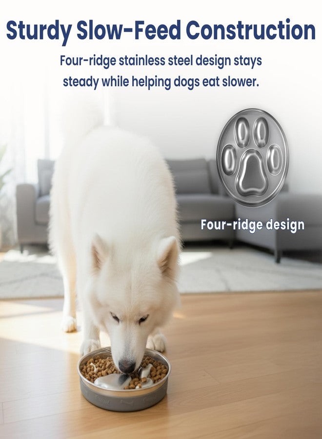 PawsPik Stainless Steel Slow Feeder Dog Bowl - 4 Cup Capacity, 18/8 Food-Grade Metal, Anti-Slip Silicone Base, Four-Ridge Design for Slow Eating & Improved Digestion - Image 5