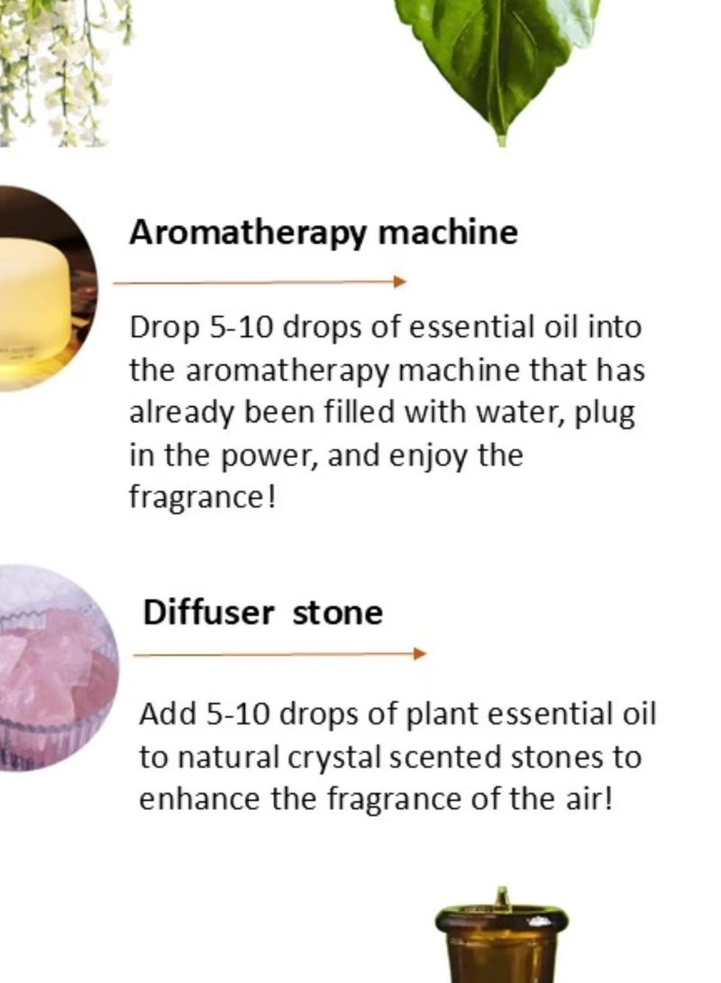 100% pure natural rose multi-purpose essential oil - Image 3