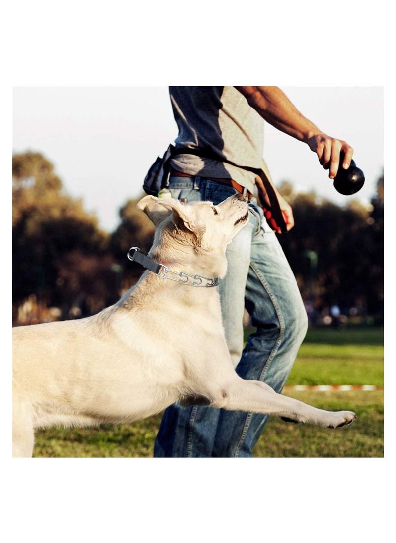 Y&D - Dog Prong Traing Collar, Choke Collar for Large Dogs Pinch Training with Quick Release Snap Buckle Small Medium Dogs, Pet Supplies - Image 1