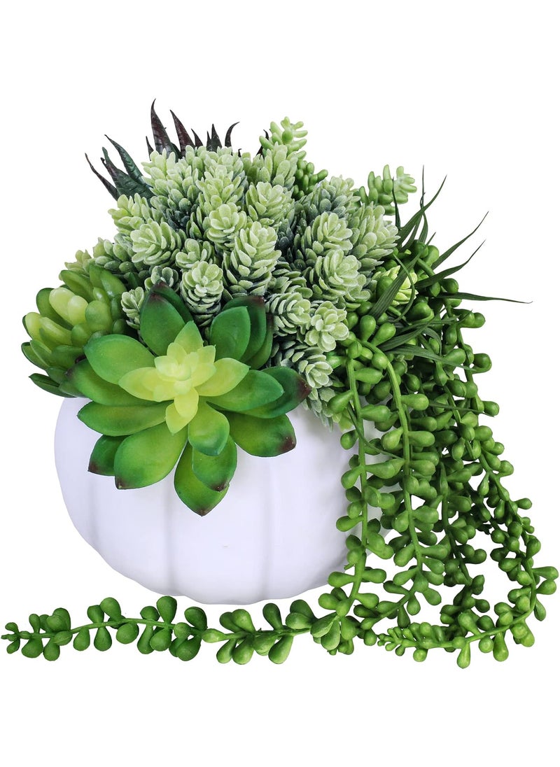 Winlyn White Fall Pumpkin Centerpiece Artificial Succulent Pumpkin Arrangement with Assorted String of Pearls Succulents for Fall Thanksgiving Gifts Home Wedding Table Mantel Windowsill Shelf Decor  - Image 1