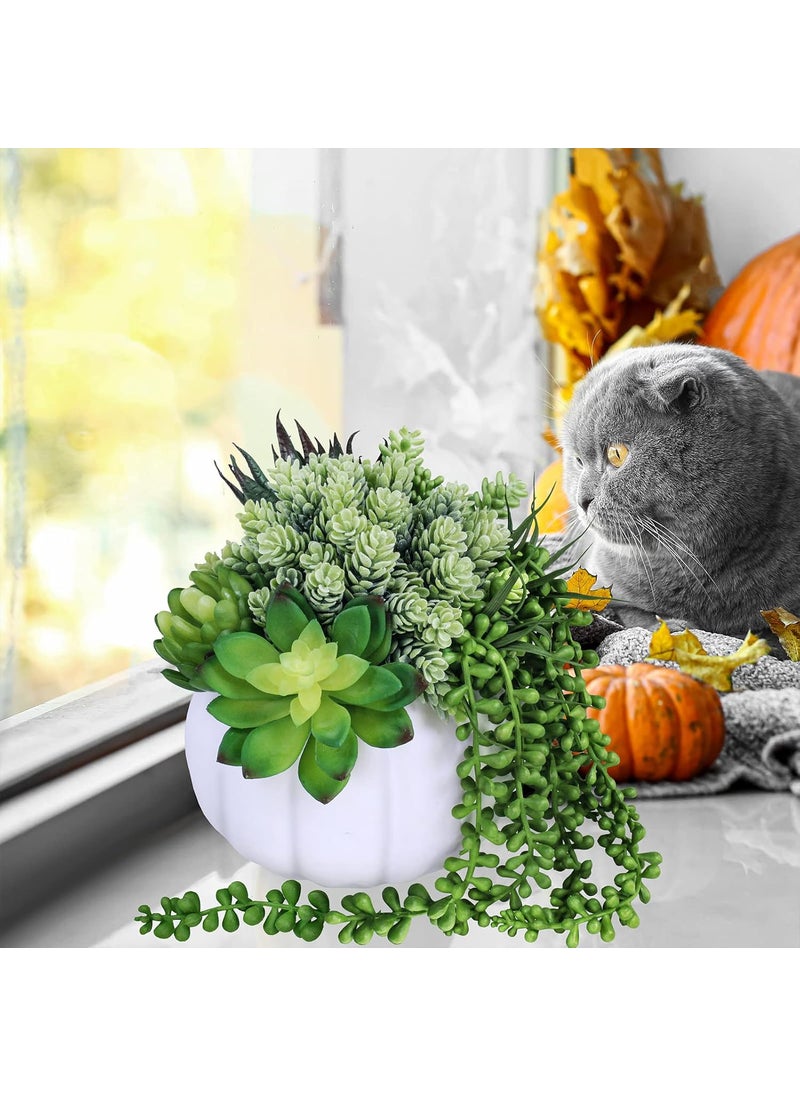 Winlyn White Fall Pumpkin Centerpiece Artificial Succulent Pumpkin Arrangement with Assorted String of Pearls Succulents for Fall Thanksgiving Gifts Home Wedding Table Mantel Windowsill Shelf Decor  - Image 5