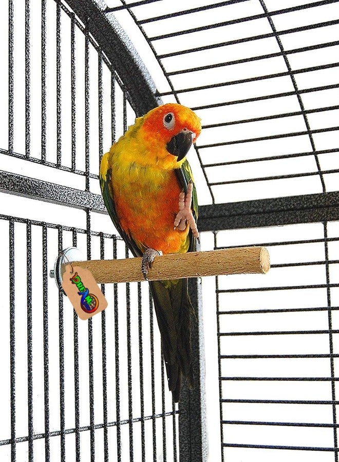 DreamAuro Natural Wood Light Weight Perch/Toy for Sun Conure, Pionus, Quaker Parrot, Cockatiel - Image 3