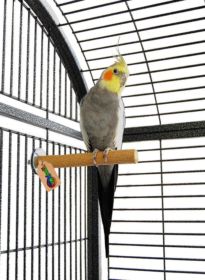 DreamAuro Natural Wood Light Weight Perch/Toy for Sun Conure, Pionus, Quaker Parrot, Cockatiel - Image 4
