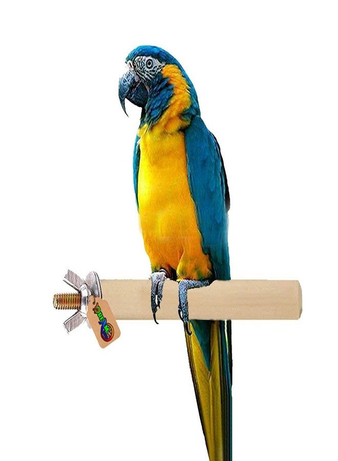 DreamAuro Natural Wood Light Weight Perch/Toy for Sun Conure, Pionus, Quaker Parrot, Cockatiel - Image 1