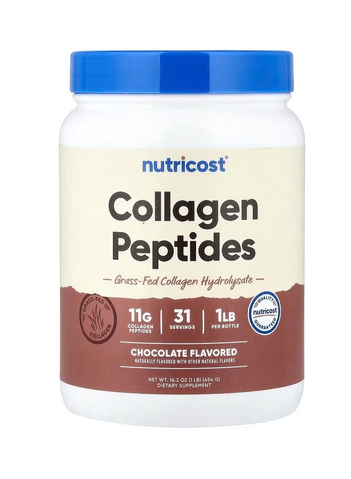 نوتريكوست، هيدروكسيلايت الكولاجين، شوكولاتة بالحليب، 16.2 أونصة (454 جرام)
