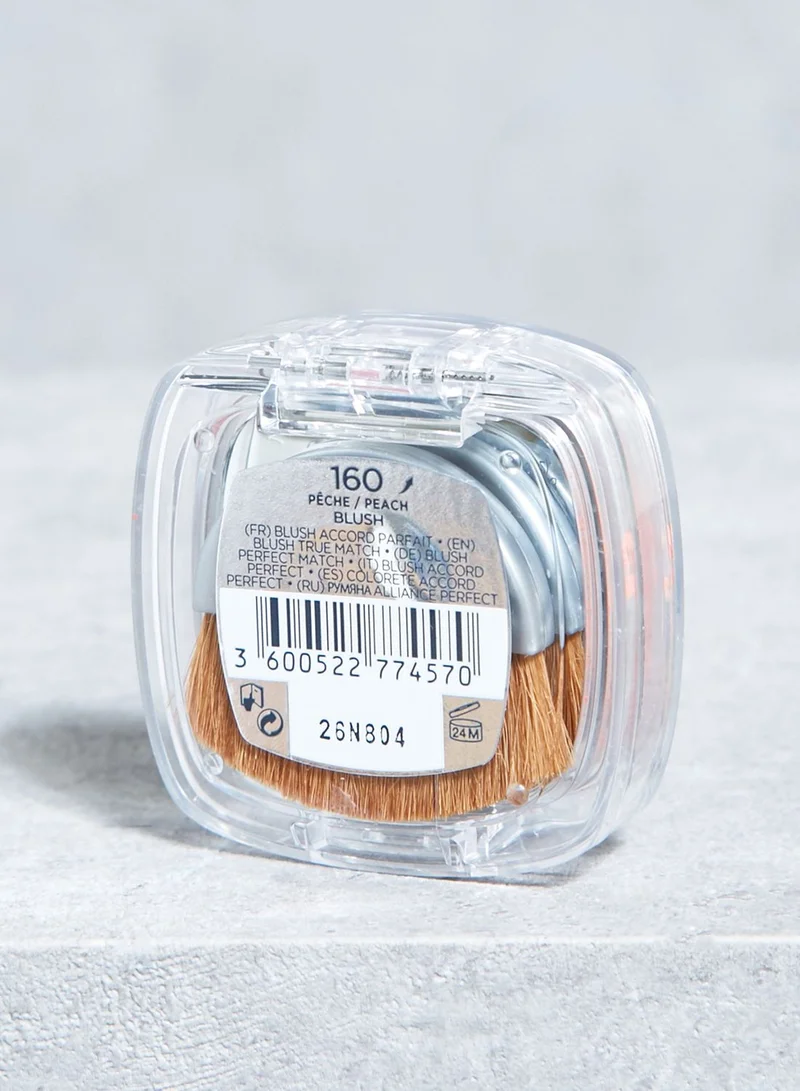 L'OREAL PARIS True Match Blush #160