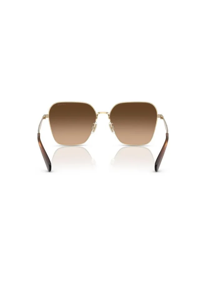 كوتش 0Hc7168 Oversized Sunglasses