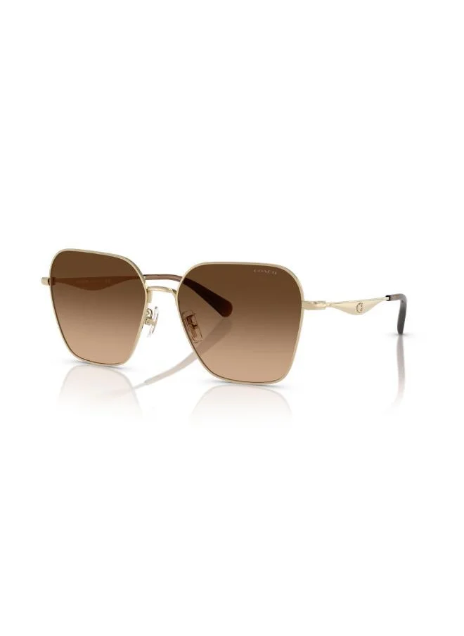كوتش 0Hc7168 Oversized Sunglasses