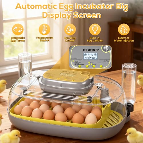 IBKINXX Incubator for Hatching Eggs-24 Egg Capacity, Automatic Egg Turner, Temperature & Humidity Control, 360° Viewing for Chicken, Duck and Quail Eggs (Yellow) - Image 3