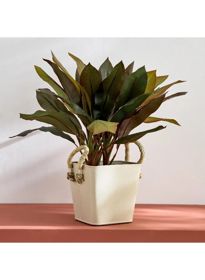 Home Box Bella Metal Taca Plant Basket with Sabai Handle - 20x20x19 cm