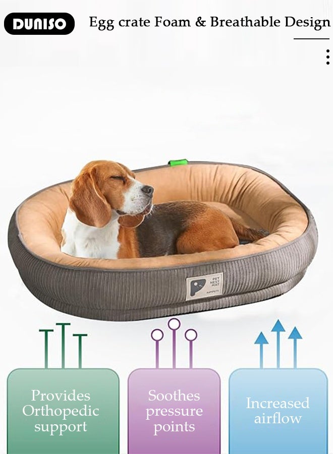 DUNISO سرير كلب أريكة كلب فخمة مع دعم من رغوة الذاكرة وقاعدة غير قابلة للانزلاق، أريكة طبية مريحة للحيوانات الأليفة للكلاب والقطط الصغيرة والمتوسطة والكبيرة - Image 3