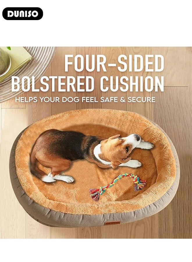DUNISO سرير كلب أريكة كلب فخمة مع دعم من رغوة الذاكرة وقاعدة غير قابلة للانزلاق، أريكة طبية مريحة للحيوانات الأليفة للكلاب والقطط الصغيرة والمتوسطة والكبيرة - Image 5