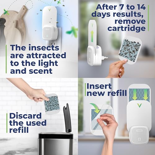 VEYOFLY Fly Trap Indoor, Fruit Fly Traps for Indoors, (4 Device + 12 Refills) Gnat Traps for House Indoor, Fly Catcher Indoor, Plug in Light Flying Insect Trap, Bug Light Killer, Fly Trap - Image 4