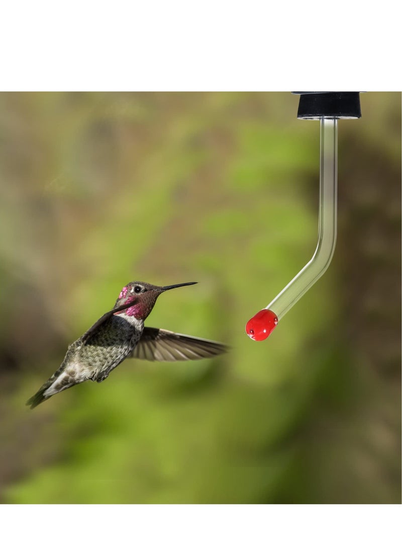 Excefore 6 Packs Hummingbird Feeder for Outdoors, Tubes and Stoppers with BB Hummingbird Feeder, Outdoor Garden Decor Gift - Image 5