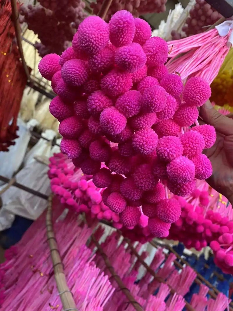Y&D Hot Sell Dried Craspedia Golden Ball, Natural Billy Buttons Dried Flowers for Wedding Home Floral Decor, DIY Dried Plants Arrangements - Image 3