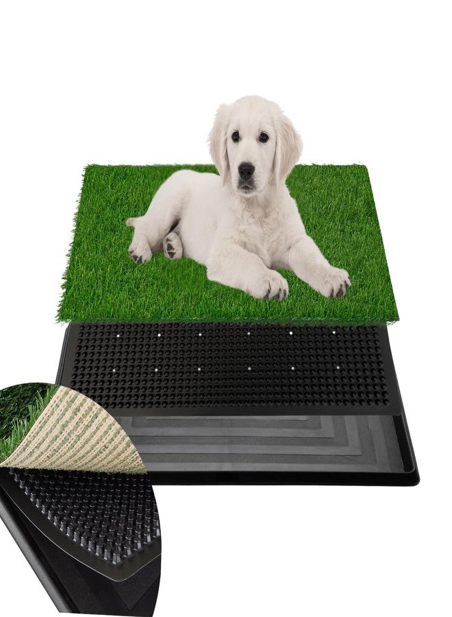 FluffyDream Artificial Grass for Dog Potty – 20 x 25 inch,Strong Absorbency Grass Pad with Tray, Dog Potty Training Pad Litter Box with Grass - Image 1