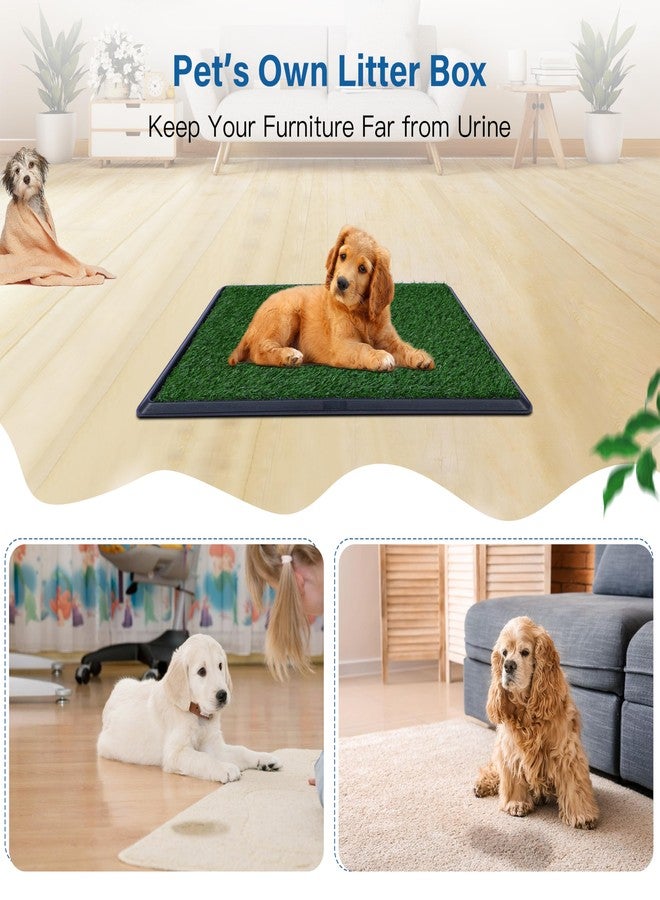 FluffyDream Artificial Grass for Dog Potty – 20 x 25 inch,Strong Absorbency Grass Pad with Tray, Dog Potty Training Pad Litter Box with Grass - Image 4