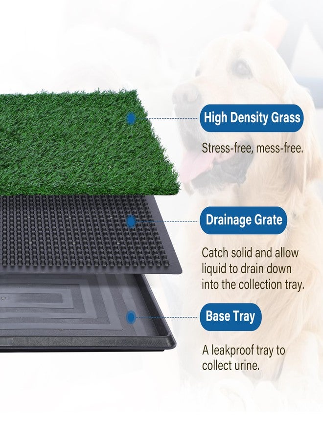 FluffyDream Artificial Grass for Dog Potty – 20 x 25 inch,Strong Absorbency Grass Pad with Tray, Dog Potty Training Pad Litter Box with Grass - Image 2