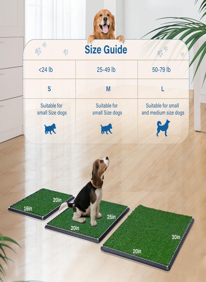 FluffyDream Artificial Grass for Dog Potty – 20 x 25 inch,Strong Absorbency Grass Pad with Tray, Dog Potty Training Pad Litter Box with Grass - Image 5