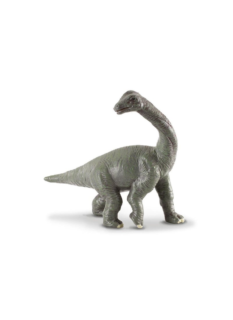 CollectA Collecta - Brachiosaurus Baby - 88200 