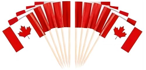 JAVD CYPS 100 Pcs Canada Flag Canadian Toothpick Flags Small Mini Stick Cupcake Toppers Canadian FlagsCountry Picks Party Decoration Celebration Cocktail Food Bar Cake Flags - Image 2