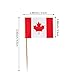 JAVD CYPS 100 Pcs Canada Flag Canadian Toothpick Flags Small Mini Stick Cupcake Toppers Canadian FlagsCountry Picks Party Decoration Celebration Cocktail Food Bar Cake Flags - Image 4