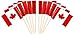 JAVD CYPS 100 Pcs Canada Flag Canadian Toothpick Flags Small Mini Stick Cupcake Toppers Canadian FlagsCountry Picks Party Decoration Celebration Cocktail Food Bar Cake Flags - Image 1