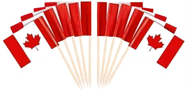 JAVD CYPS 100 Pcs Canada Flag Canadian Toothpick Flags Small Mini Stick Cupcake Toppers Canadian FlagsCountry Picks Party Decoration Celebration Cocktail Food Bar Cake Flags - Image 3