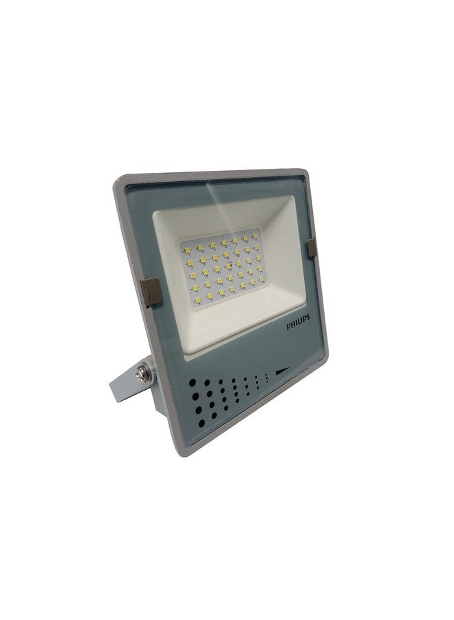 Philips 919515811921 30W Flood Light , White, Rectangular - Image 1
