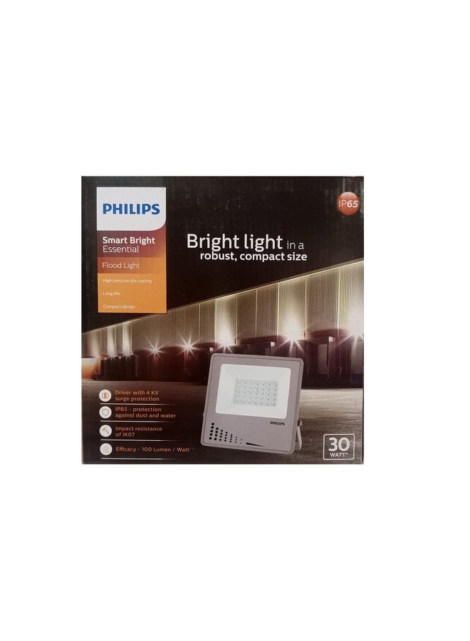 Philips 919515811921 30W Flood Light , White, Rectangular - Image 3