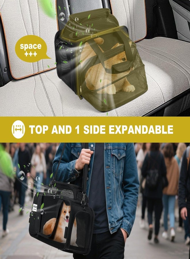 pidipiti top and 1 Side Expandable, 17x11x11 Soft-Sided pet Carrier, TSA and American/Delta/United Airline Approved,for Small Dog/Puppy/cat underseat in Airplane and Vet. - Image 4