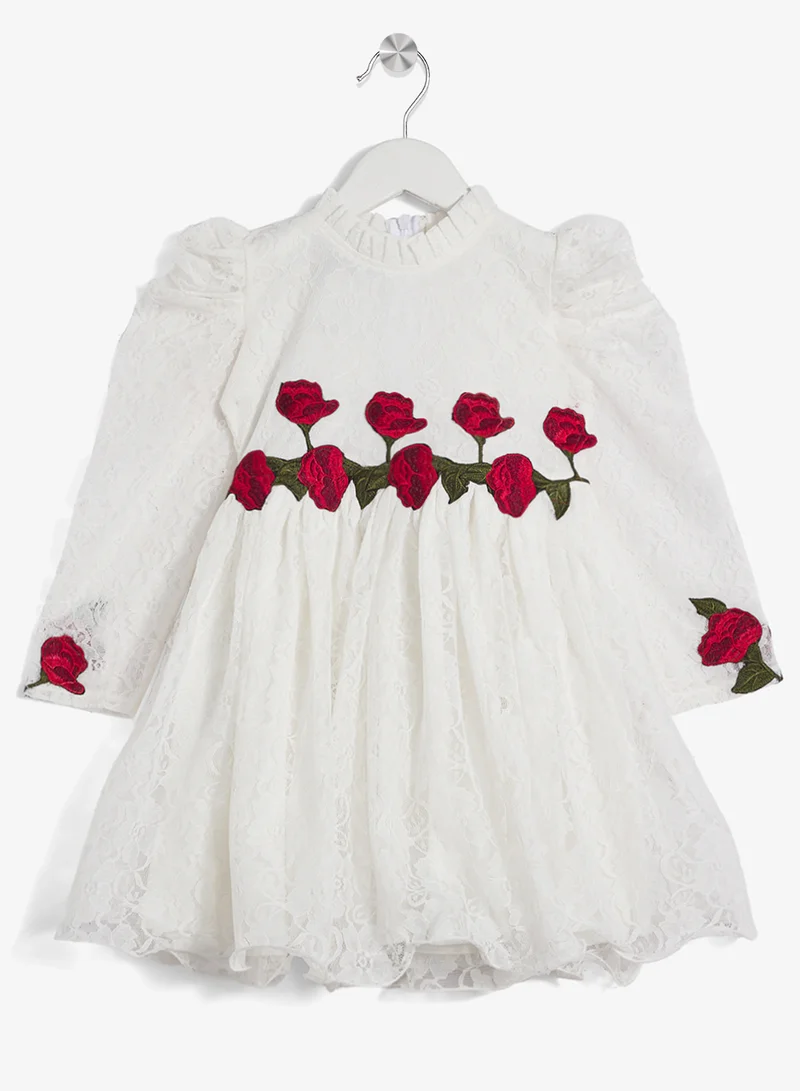 Little Golden Apple Little Lace Rose Dress