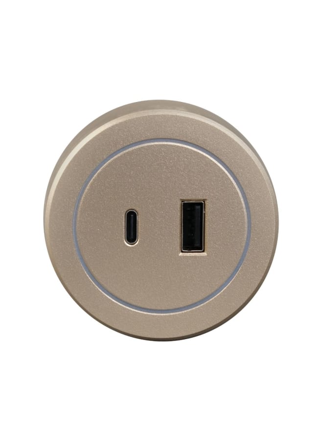 Sanshe sharm Champagne Illuminated Type-C and USB Magnetic Socket - Image 1