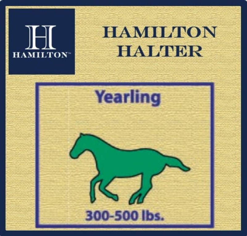 Hamilton Deluxe Horse Halter, 1" Triple Ply Nylon, Yearling or Standard Donkey, 300-500 lbs, Berry Blue - Image 4